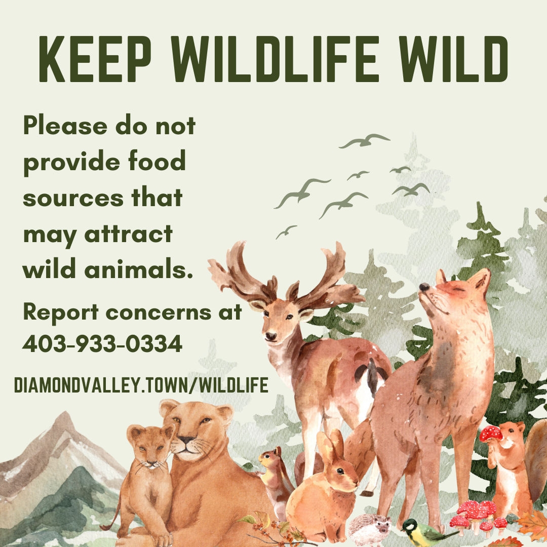 Keep Wildlife Wild - square - number