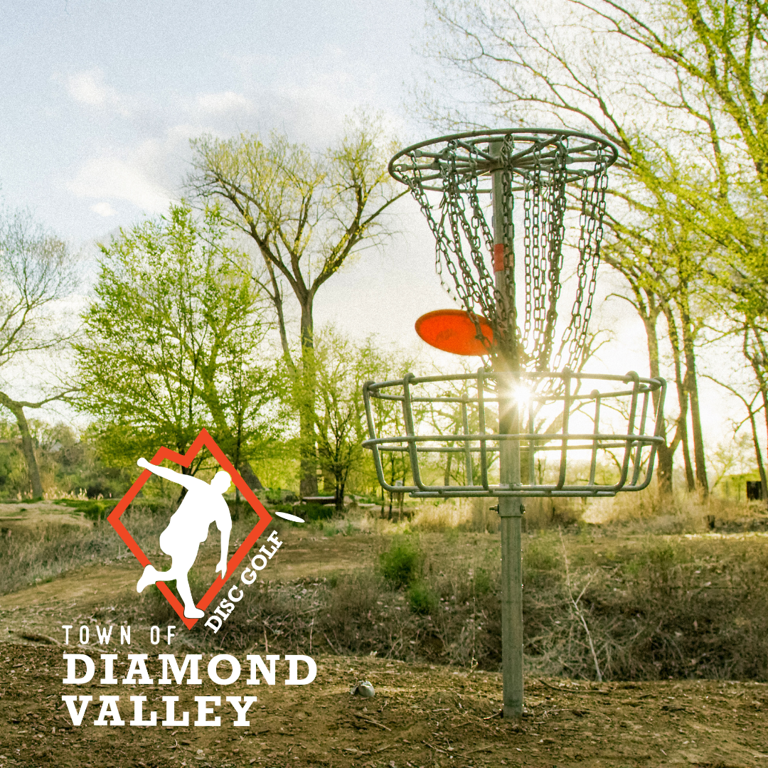 Disc Golf basket etc (1080 x 1080 px)