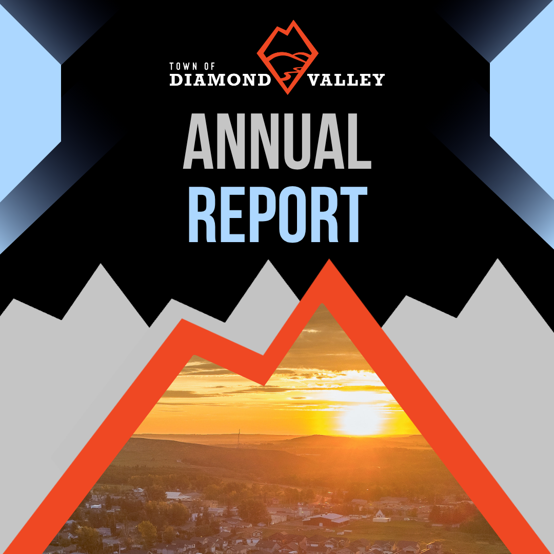Annual Report Graphic (1080 x 1080 px) (1)
