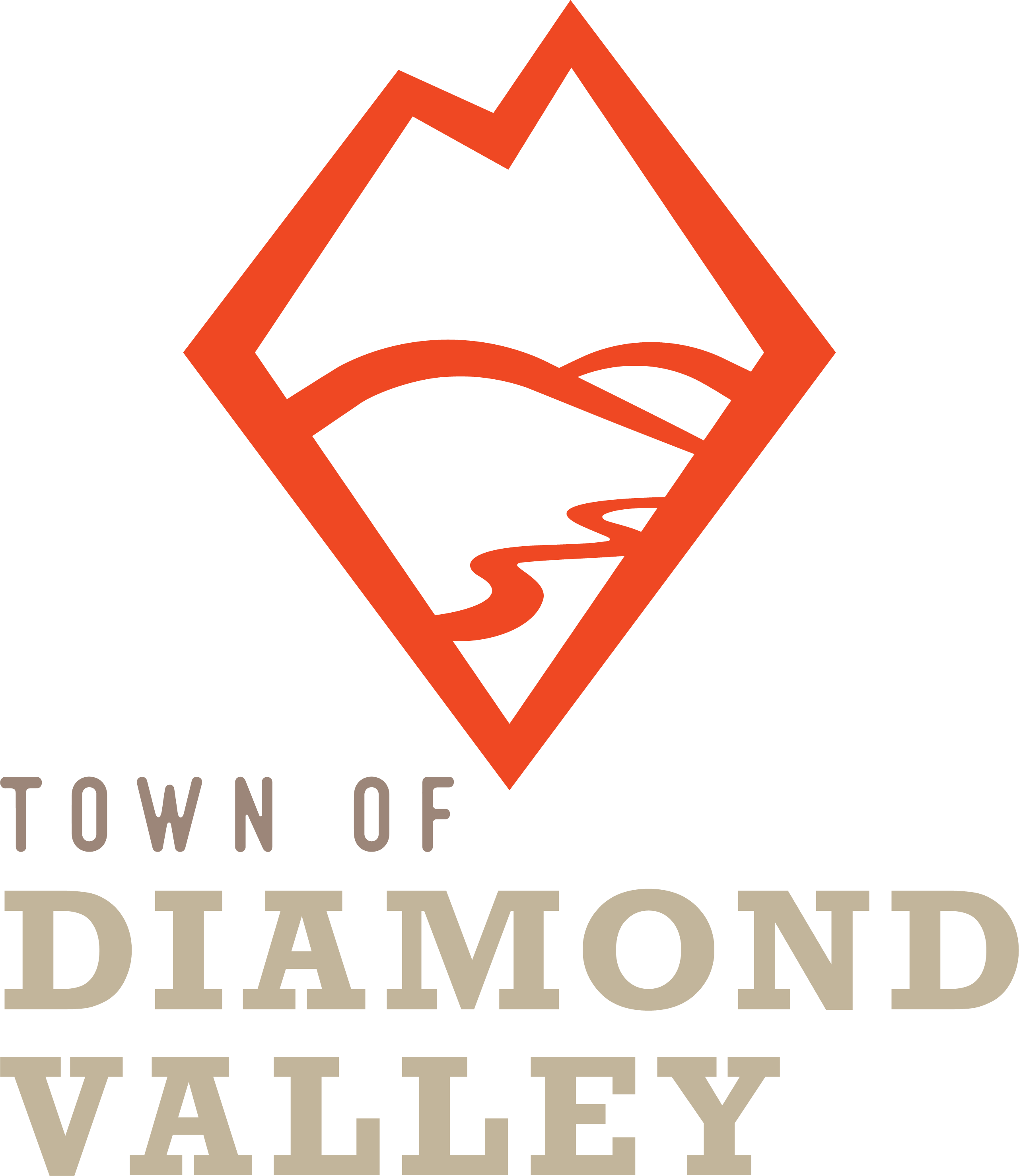 Diamond Valley logo - stacked - Light Text and Orange transparent 600dpi
