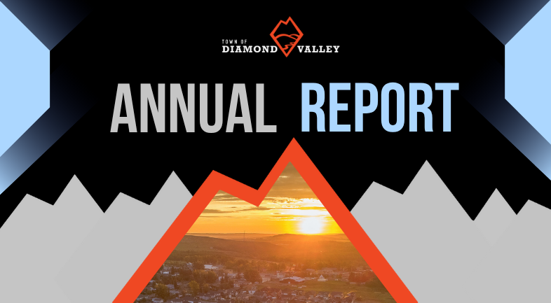 Annual Report Graphic (786 x 433 px)