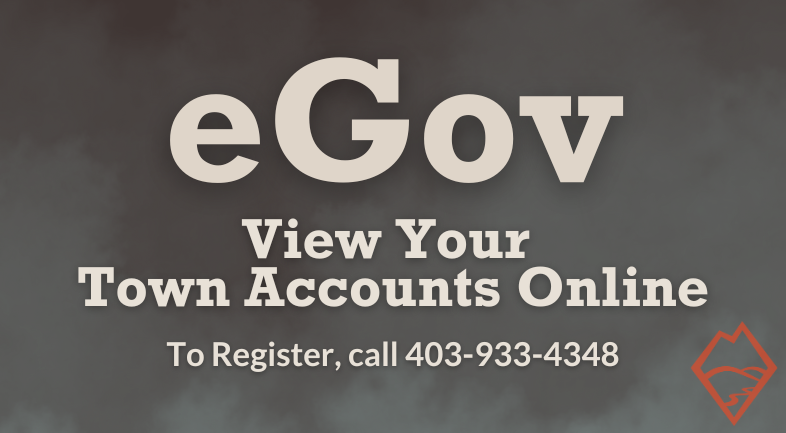 eGov simple (786 x 433 px)